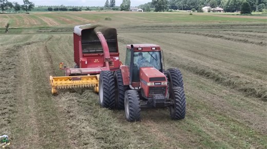 In this video I am with a farm that is chopping second cutting alfalfa to put in the silo. This will be used to feed the farms dairy cow herd. In the video is a Case IH 7130 Magnum Tractor pulling a New Holland FP230 forage harvester and a few Meyer and H&S forage boxes.  Mike Less - Farmhand Mike