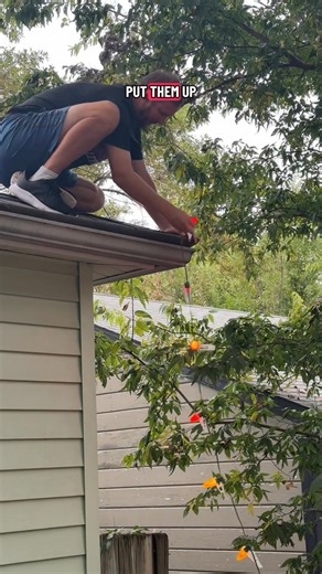 9K views · 110 reactions | Up Like A Light If you are looking to get Christmas lights installed this year, reach out now to get on their schedule! Text Caleb at (405) 301-1904 to book your appointment! Tell him Tarra sent you! | Tarra Quinn | Facebook