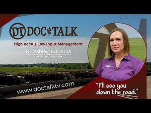 DocTalk Ep 675 High vs Low Input Management
