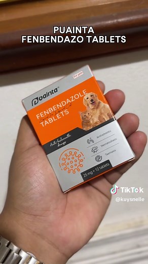 Deworming Signs in Dogs: What to Watch For
