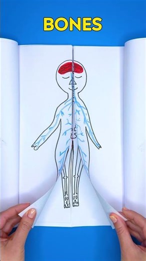 🌟 Dive into the Amazing Human Body! 🚀 Fun Learning for Kids!