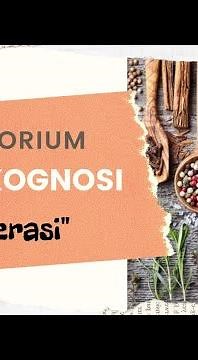 Ekstraksi Daun Sirsak dengan Metode Maserasi