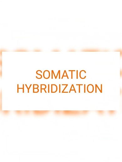 Detaile note on protoplast isolation and somatic hybridization #bsc3rdyear #biology #botany