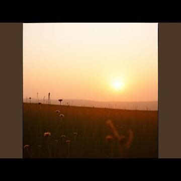 Two Strikes, Still Standing