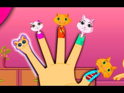 The Finger Family Cat Family Nursery Rhyme | Kids Animation Rhymes Songs