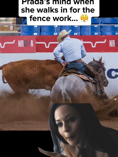 What we envision Prada's pep talk to Clinton would be 😆 #applythemethod #clintonanderson #downunderhorsemanship #prada