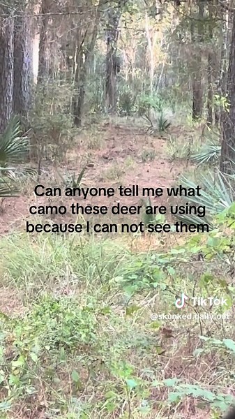 Identifying Camouflage Patterns of Deer in the Wild
