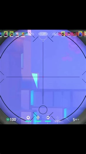 Piip on TikTok