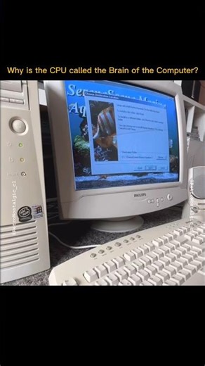 Why is the CPU called the Brain of the Computer? 💻 🤔 💬#facts #sciecne #viral#shorts #cpu#2025 #2026