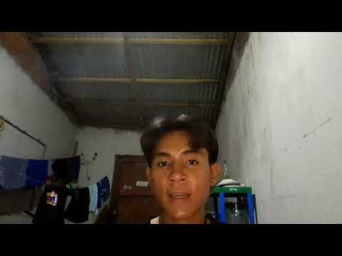 (AC-S11) Week 11 - Task: Assignment – What's your best friend's routine? (PA5)- STEV_LOZANO