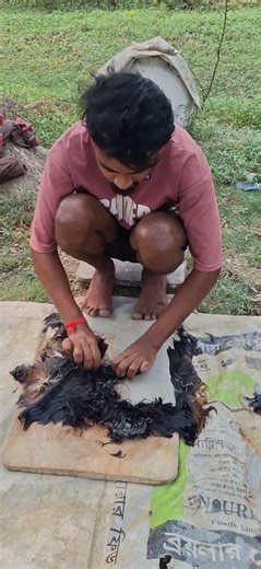 Soaking goat skin in water. #agriculture #farmer