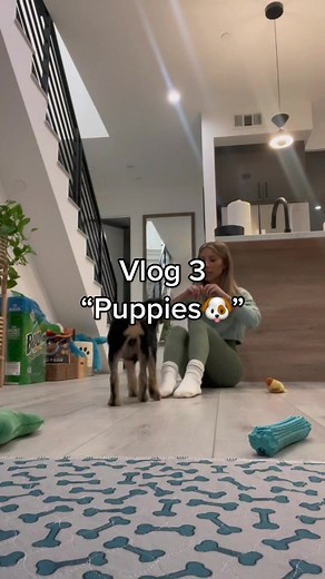 I’m #fostering #puppies !! 🥰 how cute are they?! #vlog #fyp