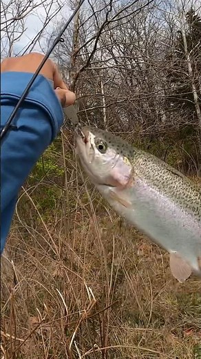 How to CATCH TROUT with KASTMASTERS! Tackle breakdown in description! #trout #troutfishing #fishing