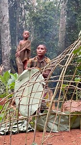 Vida cotidiana de los Pigmeos Baka, Construcción de casas en la selva de Camerun📍🌍❤️ #africa #culture #travel | Jeanette Cruz