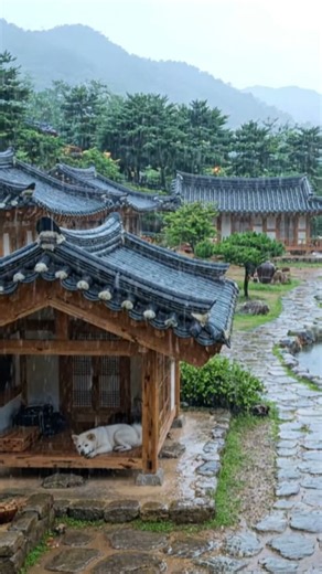 "연못 옆의 한옥에내리는빗소리" | Relax Sleep Rain(10분 후 검은 화면) – Nurarain sleep