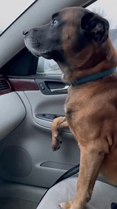 Herkimer County Humane Society on Reels