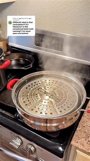 Ashlie | My Basic Homestead on Instagram: "Replying to @🦛HipposRule🦛 I LOVE my steam canner! I can’t believe people don’t talk about these more because I prefer this over a waterbath canner any day!"