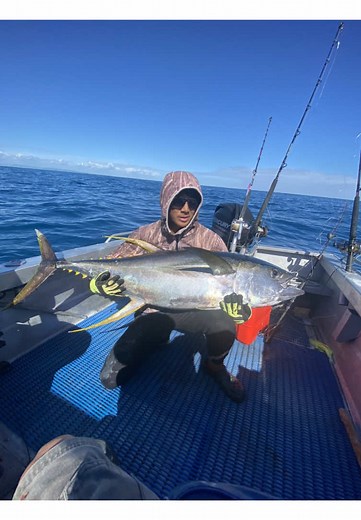 Tuna Fever: The Excitement of Yellowfin Tuna Fishing in NZ