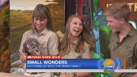 The Irwin family joins TODAY with some new furry friends
