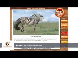 Switch Zoo Free [Download] | Review/Test