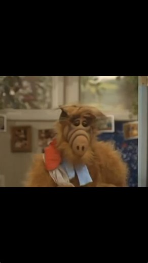 Jesse's World on Instagram: "Context: Because ALF is an alien from the planet Melmac living with the Tanner family, he often creates chaos, breaks household items, or hides from the "Alien Task Force" (ATF). The Joke: When found covered in debris or laundry, ALF humorously dismisses his bizarre appearance by blaming it on "static cling," treating a common laundry issue as the reason for his chaotic state. Significance: It highlights the show's 1980s sitcom style of using simple, often pun-based 