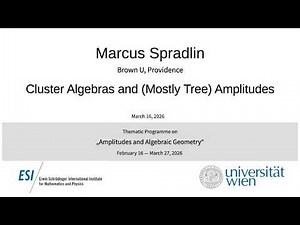 Marcus Spradlin - Cluster Algebras and (Mostly Tree) Amplitudes