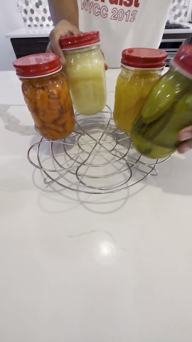 Southern Homewares Canning Rack for Pressure Cooker – Reversible Stacking System for Mason Jars & Food Storage, 2-Pack