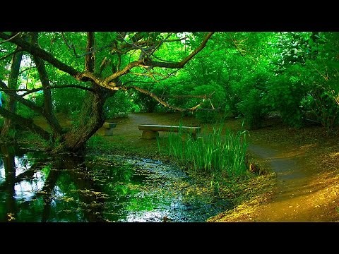オッフェンバック / ホフマンの舟歌 ( Offenbach-Barcarolle-from-Tales-of-Hoffmann )