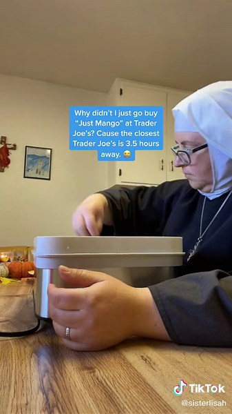 Dehydrating Machine for Delicious Dried Mango