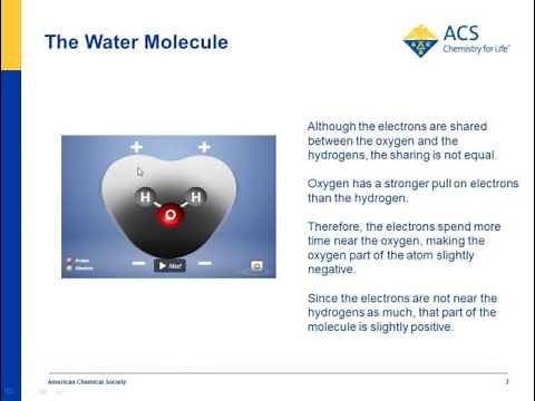 Water is a Polar Molecule
