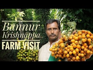 Zero Budget Natural Farming | Bannur Krishnappa Farm Visit | 36*36 arecanut model | Subhash Palekar