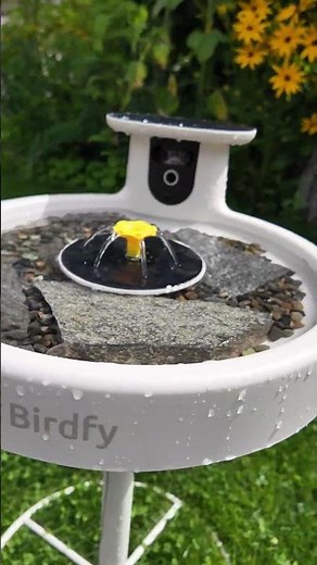 Birdfy Bath Pro DIY Upgrade | Making the Perfect Bird Bath