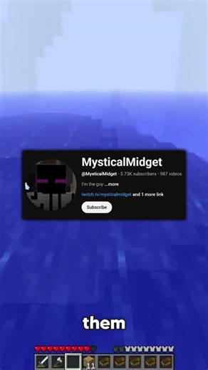 32 Million Blocks Record in Minecraft