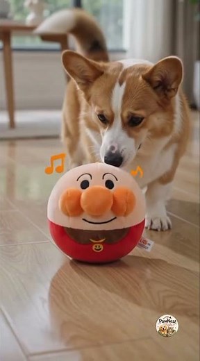 This Toy Changed My Dog's Life! 🐶 | Every Dog Owner Needs This