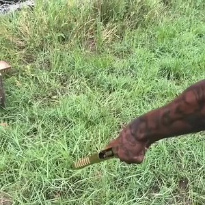 Which 50 cal would you take? | Viper Tec