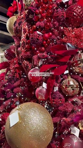 Vigilia Folk con Fisarmonica Italiana | Liscio e Balera Tradizionale | 1Ora ballo #fisarmonica