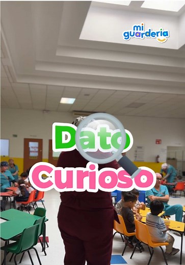 Seguridad en Guarderías IMSS: Comida y Cuidado Infantil