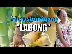 LABONG in Tagalog | BAMBOO SHOOTS in English