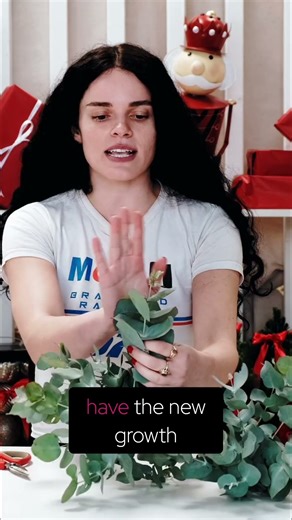 Flower Pro Reveals Don't Judge Freshness By New Growth!