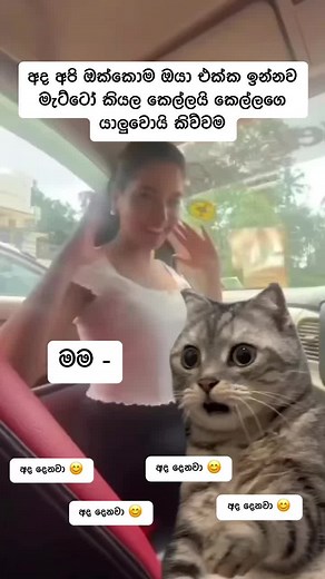 FOR BOYS 😂#mrkota #viral #fyp #virel #meme #memecut #CapCut