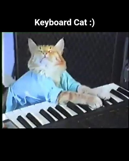 The oldest meme for years. #meme #keyboardcat #rip