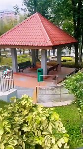 16K views · 191 reactions | Tutorial para perros  #comedia #tutorial #perritos #lomitos #parkour | Daer Sánchez | Facebook