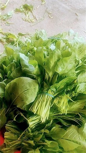 hani bhani, 😊😊😊😊#youtube #shorts