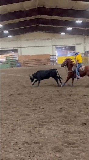 Team roping practice #horse #rodeoevent #rodeo #rodeosport #teamroping #cowboys