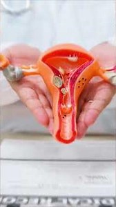 Wondering about your fertility health?