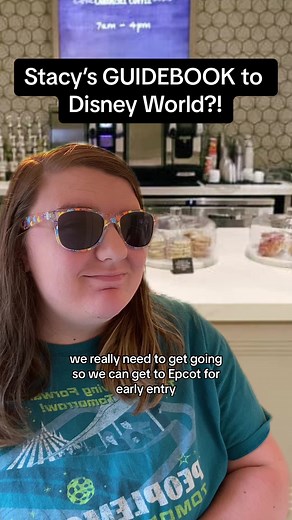 Stacy’s Guidebook to Disney World Explained by Travel Agent William