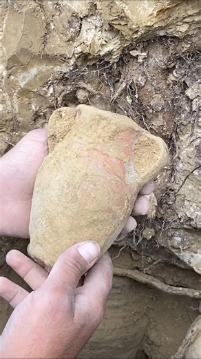 915K views · 4.9K reactions | You've never seen such a treasure before | Tomb Hunter | Facebook