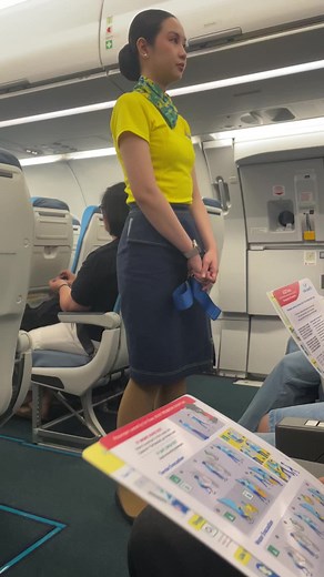 #flight attendant