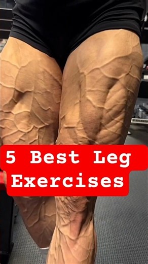 Build Powerful Legs at Home & Gym 😱| 5 Best Leg Exercises | @ASFitTheory | #legworkoutathome