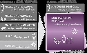 Przypadki / Polish cases